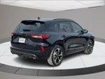 2025 Ford Escape ST-Line Elite