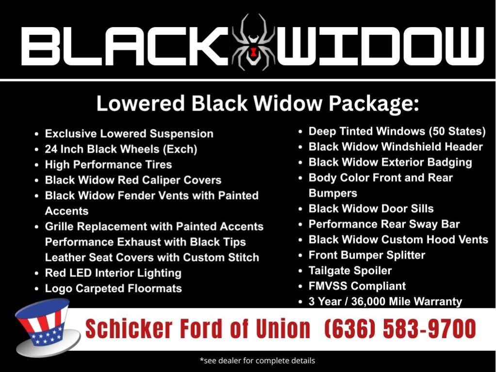 2025 Ford F-150 XL Black Widow