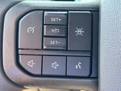 2025 Ford F-150 XL Black Widow