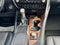 2022 Lexus RX 350L Base