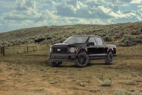 Light-Duty Work Truck